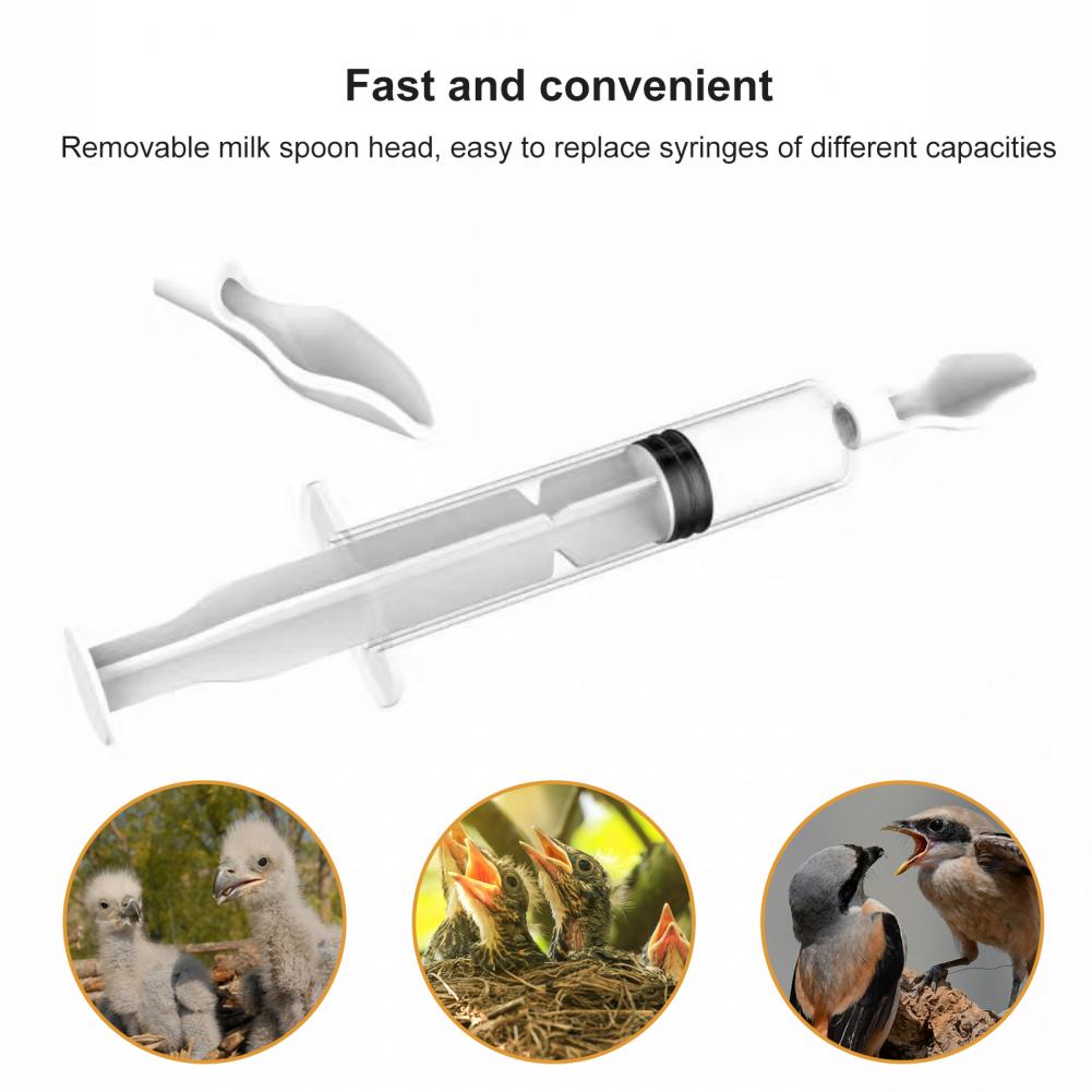 Food Feeding Needle 1 Set Bird – Baby Food Youtube Bewertung und Preis