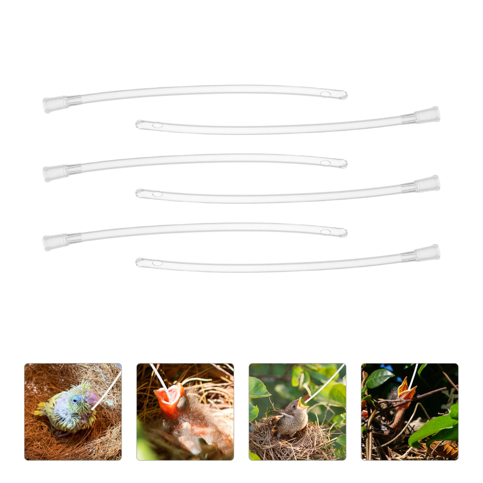 10Pcs Parrot Hand Feeder Tube  – Baby Food Youtube Bewertung und Preis