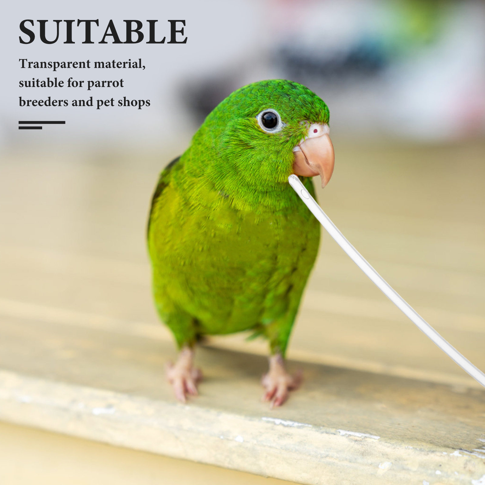 10Pcs Parrot Hand Feeder Tube  – Baby Food Youtube Bewertung und Preis