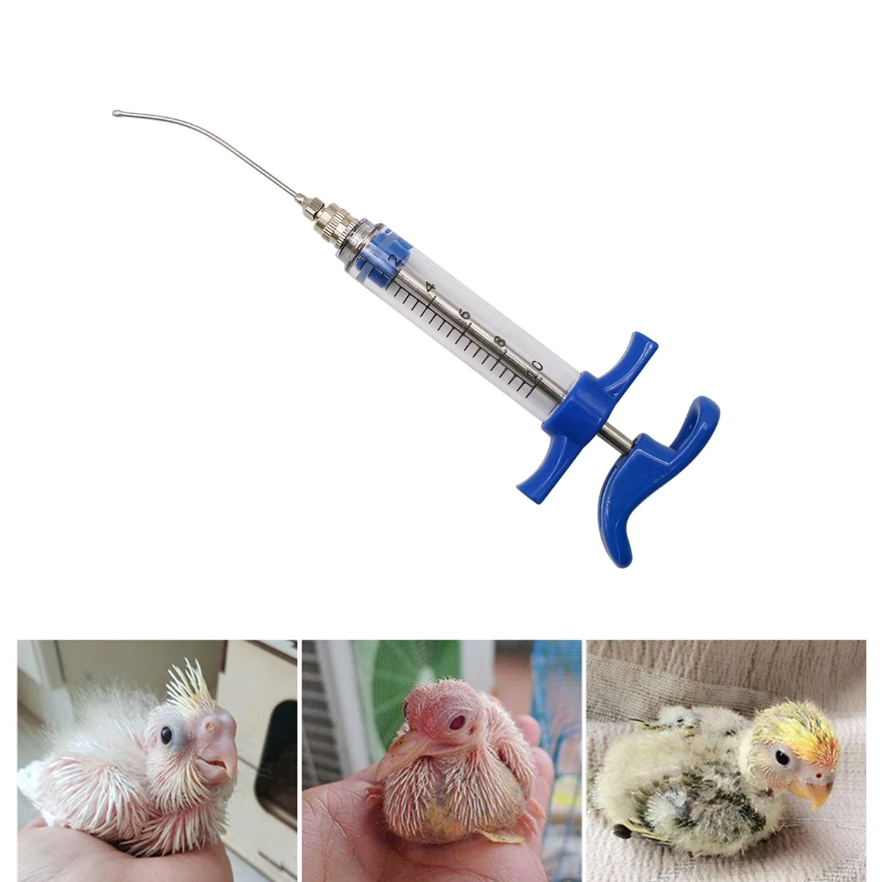 Parrot Feeding Tubes Birds Fee – Baby Food Youtube Bewertung und Preis