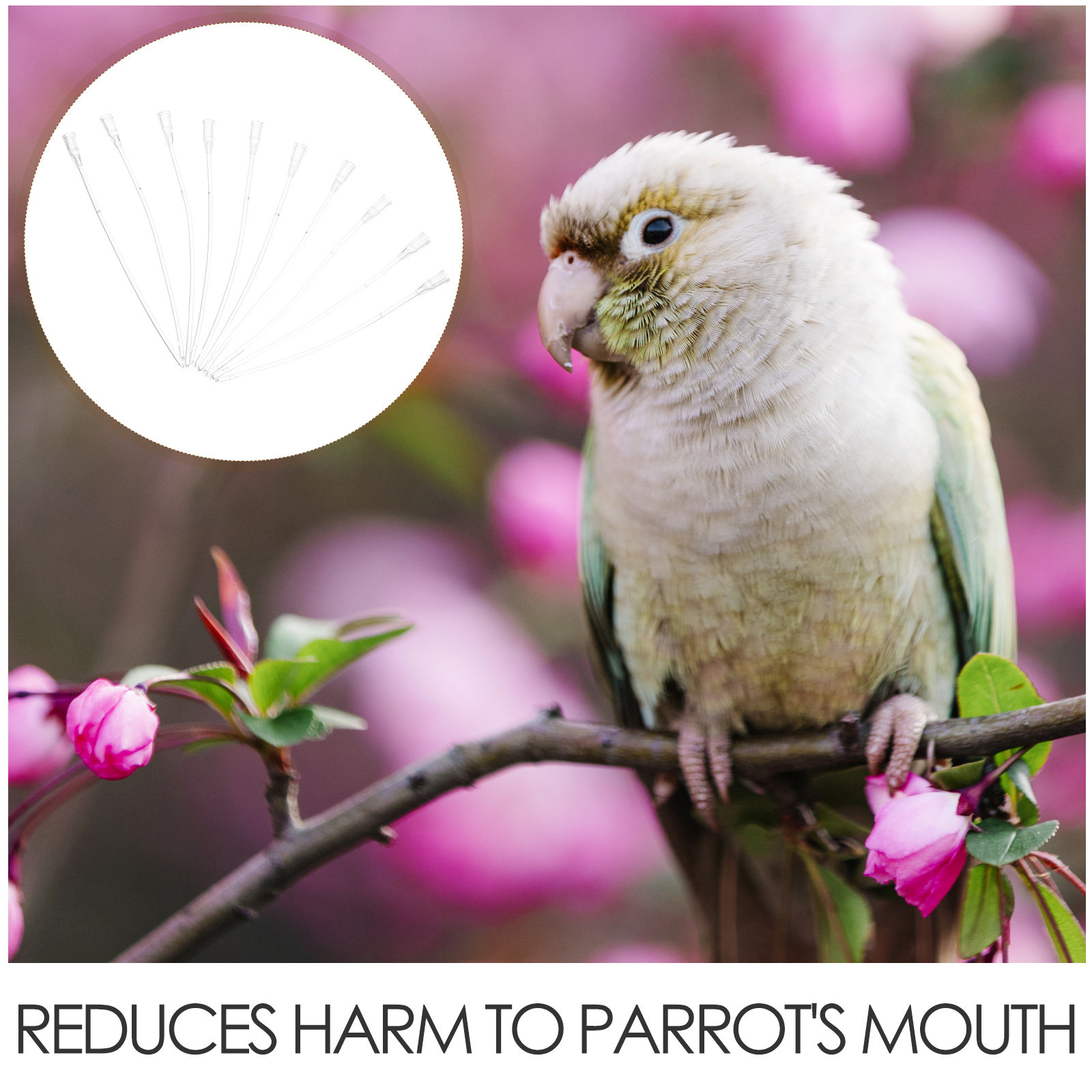 50Pcs Baby Bird Feeding Hose S – Baby Food Youtube Bewertung und Preis