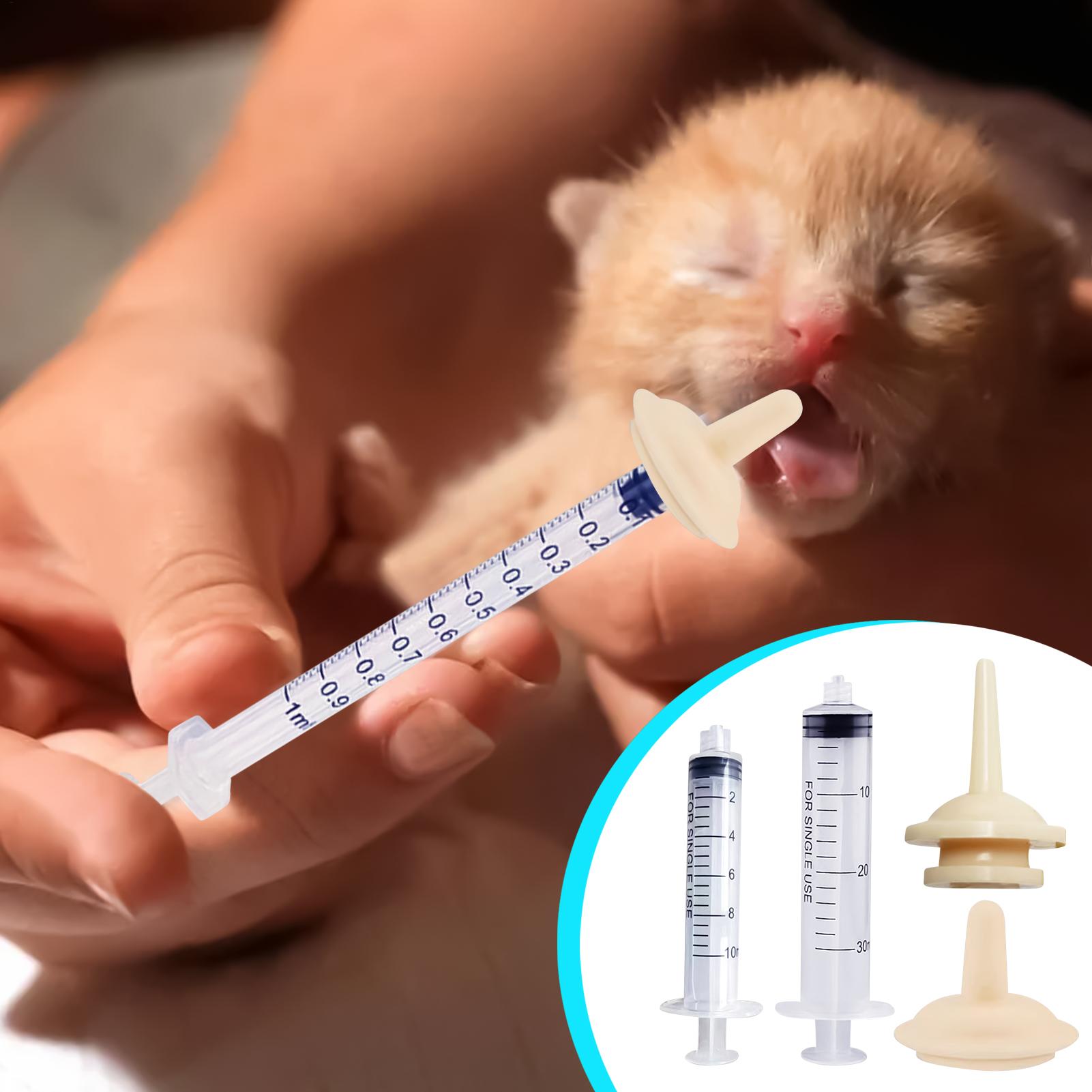 Baby Bird Feeding Syringe Reus – Baby Food Youtube Bewertung und Preis