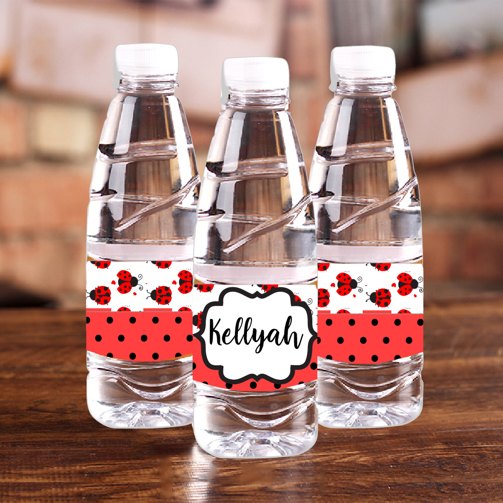 Personalised Ladybug Red Polka – Baby 1 Year Food Bewertung und Preis