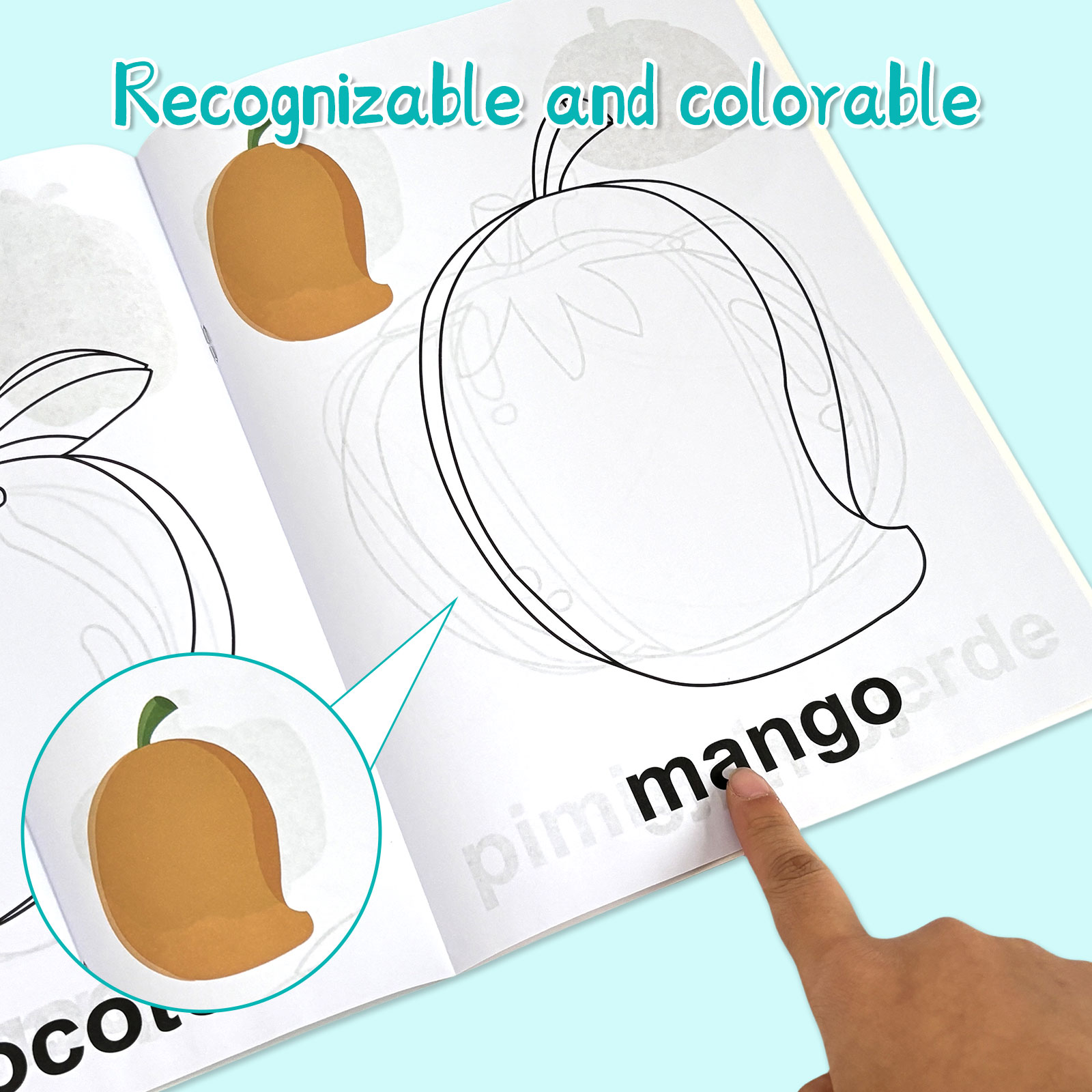 4 Pack Spanish Vocabulary Colo – Baby Food Year Old Bewertung und Preis