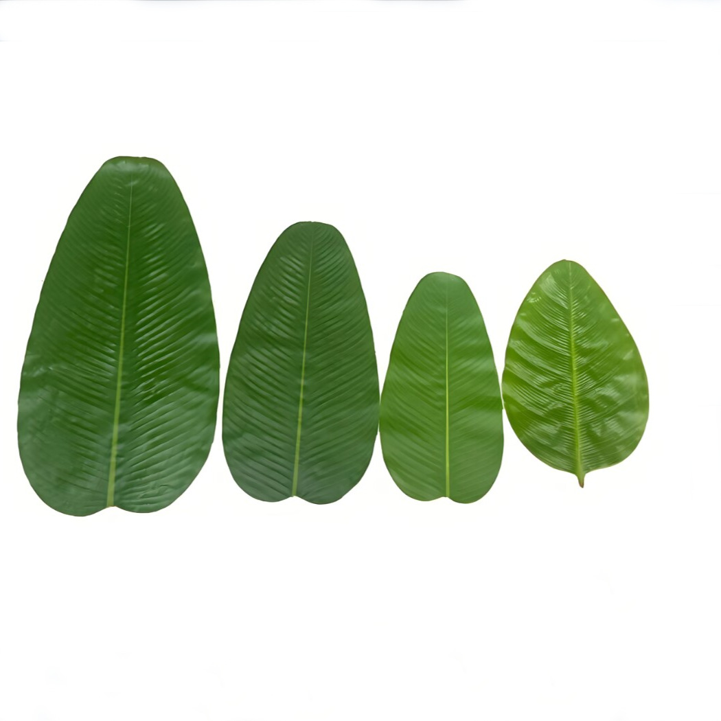 Banana Leaf Dining Table Hotel – Baby Food Banana Bewertung und Preis