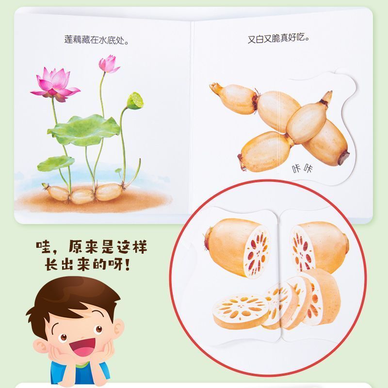 Infant Food Education Flipbook – Baby Food Year Old Bewertung und Preis