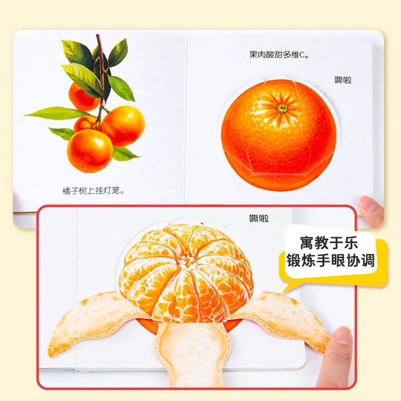 Infant Food Education Flipbook – Baby Food Year Old Bewertung und Preis